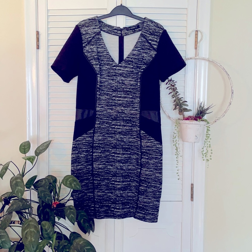 🧁Dynamite gray/black professional dress
